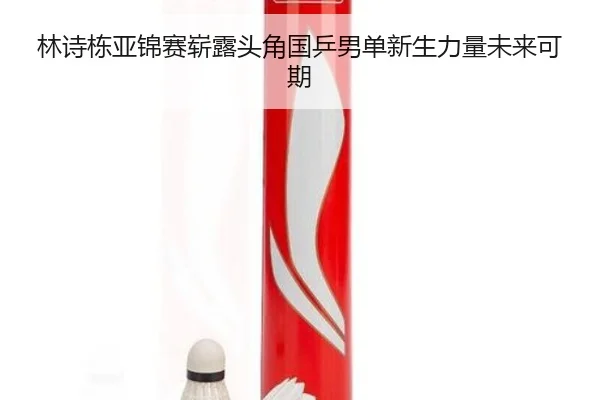 林诗栋亚锦赛崭露头角国乒男单新生力量未来可期